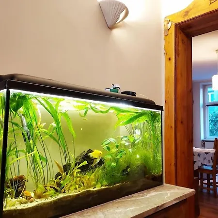 Apartman Klimatyczne 95m2 W Samym Sercu Gdanska
